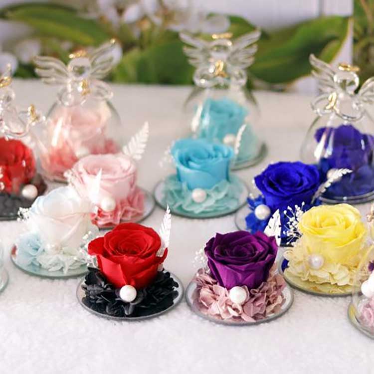 فرشتہ ابدی گلاب