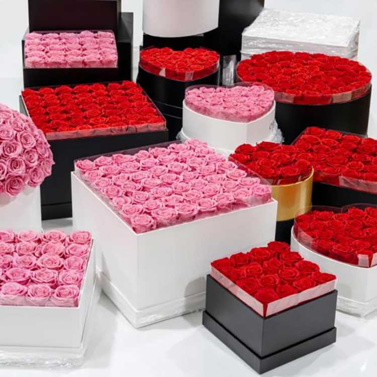 محفوظ پھولوں کی گلے والی بالٹی